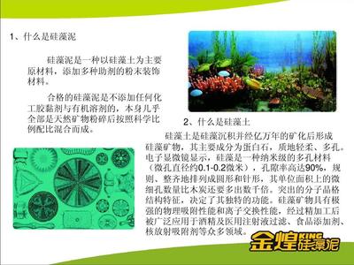 金煌硅藻泥PPT